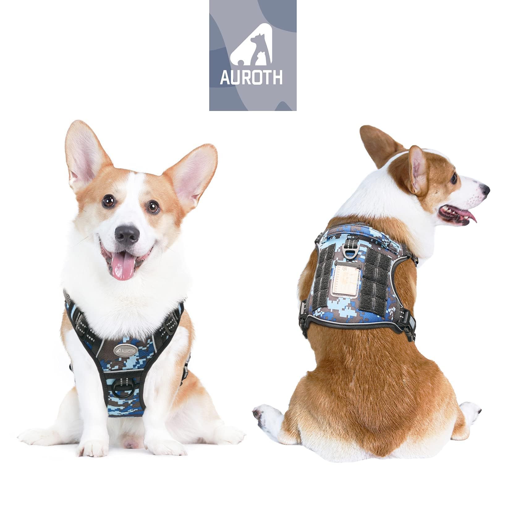 Back view of AUROTH harness showing Molle system and patches for gear-ready adventures