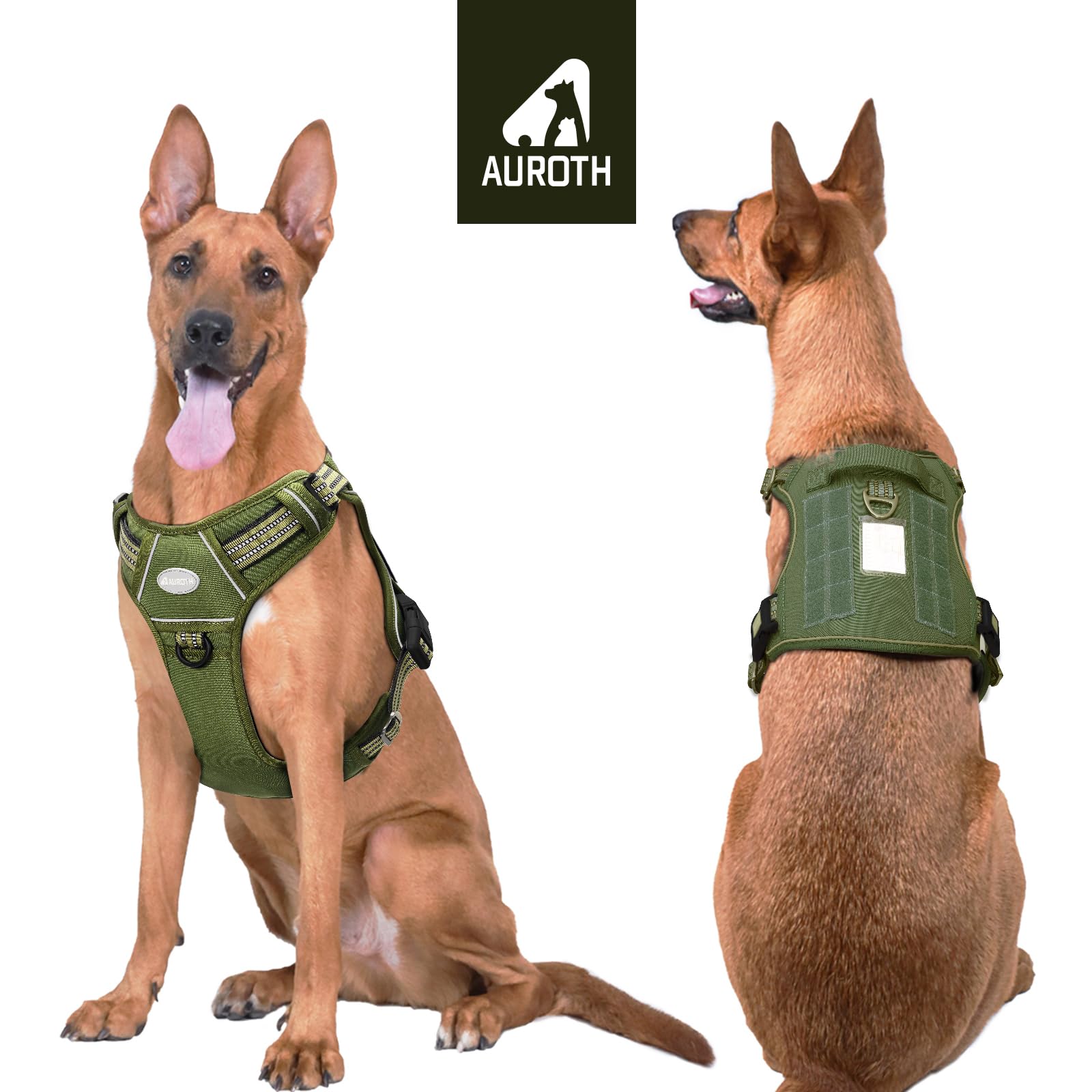 AUROTH Tactical Dog Harness back view with dual leash points for versatile control