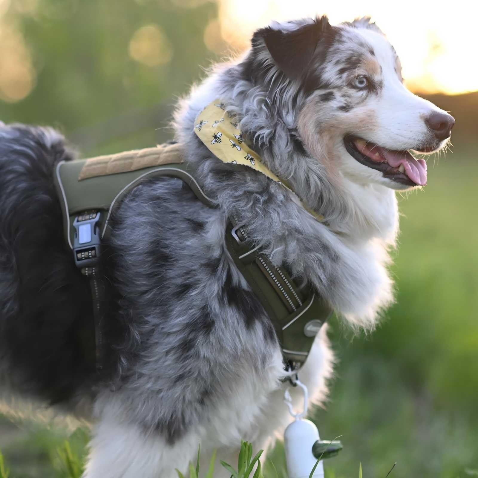AUROTH Tactical Dog Harness breathable air mesh keeps dogs cool and comfortable