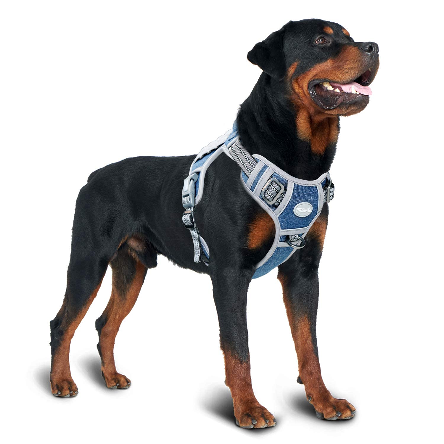 AUROTH Tactical Dog Harness denim blue sizing guidance with four size options
