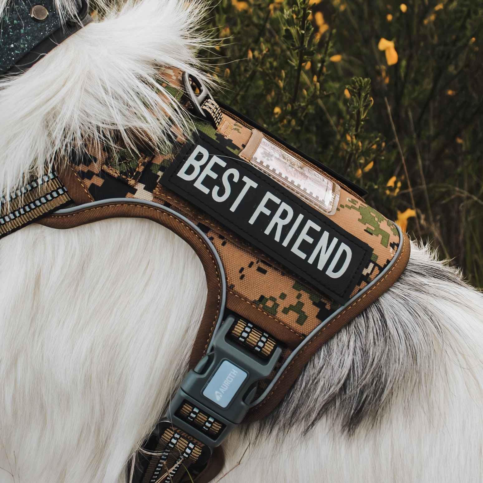 AUROTH adjustable sizing fits small to medium dogs securely.