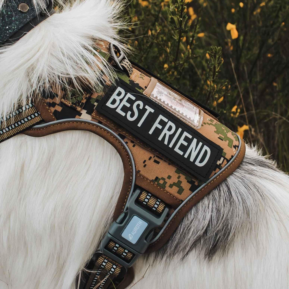 AUROTH adjustable sizing fits small to medium dogs securely.