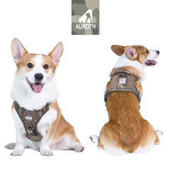 AUROTH front-clip no-pull harness enhances training and control.