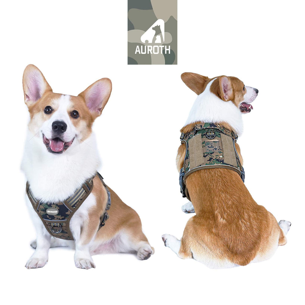 AUROTH harness front clip for no-pull training and better steering.