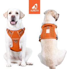 AUROTH harness with adjustable straps for secure fit.