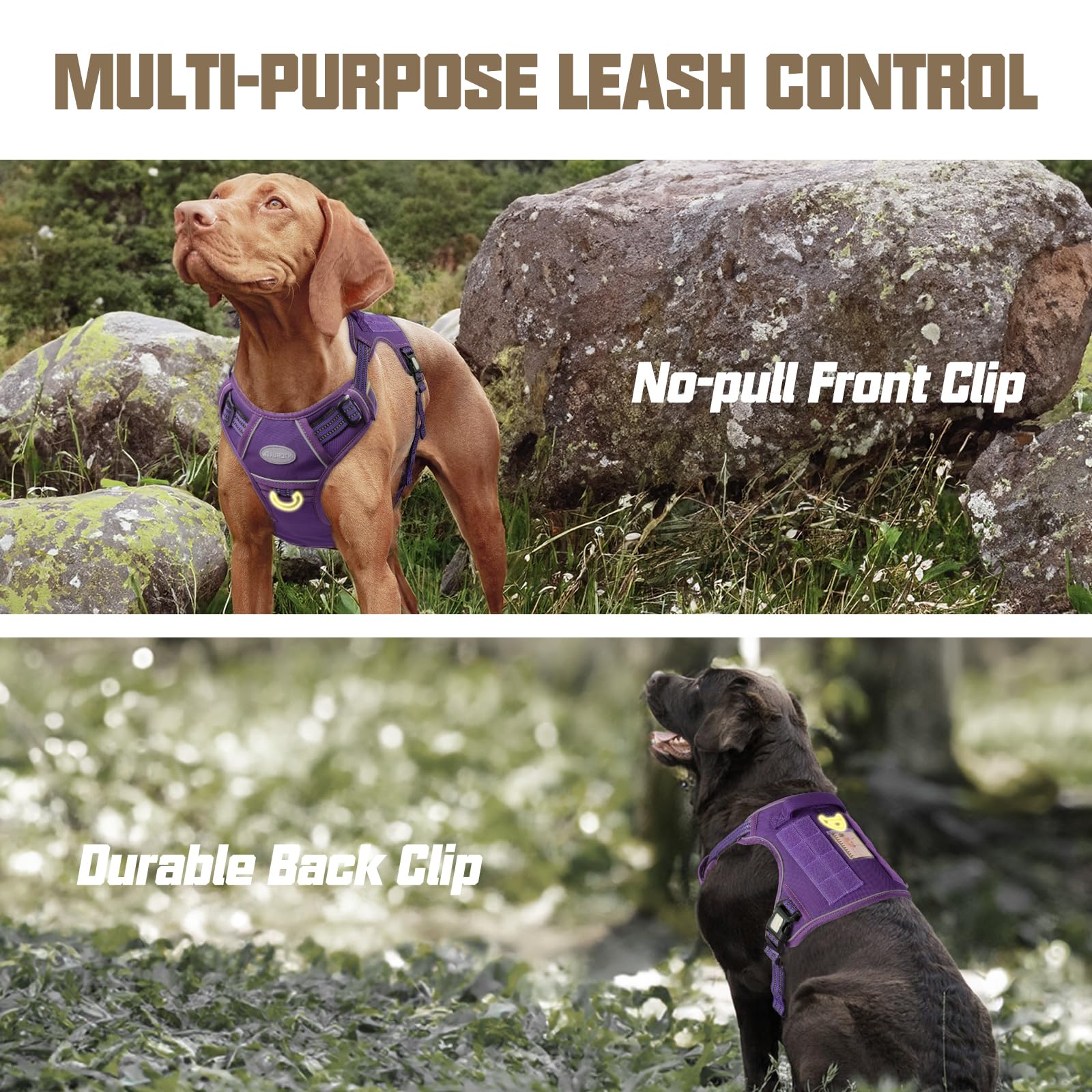AUROTH harness back-clip in purple, ideal for casual walks with no-pull control.