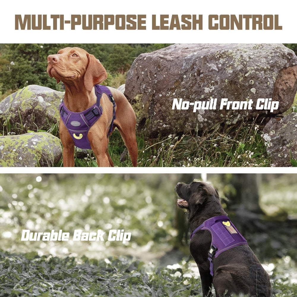 AUROTH harness back-clip in purple, ideal for casual walks with no-pull control.