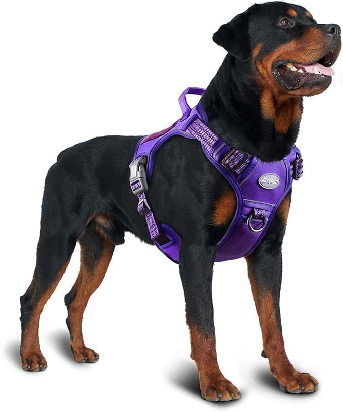 AUROTH MOLLE-compatible design shown with ID badge for safety and adventure.