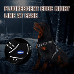 AUROTH padded shoulders with breathable mesh keep dogs comfortable during hikes.
