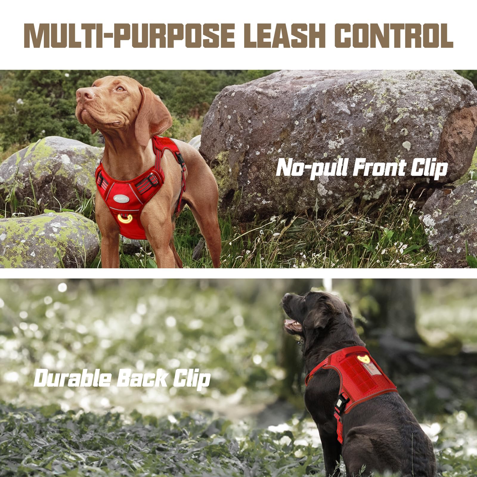 AUROTH dual leash attachments, front and back for training and daily walking.
