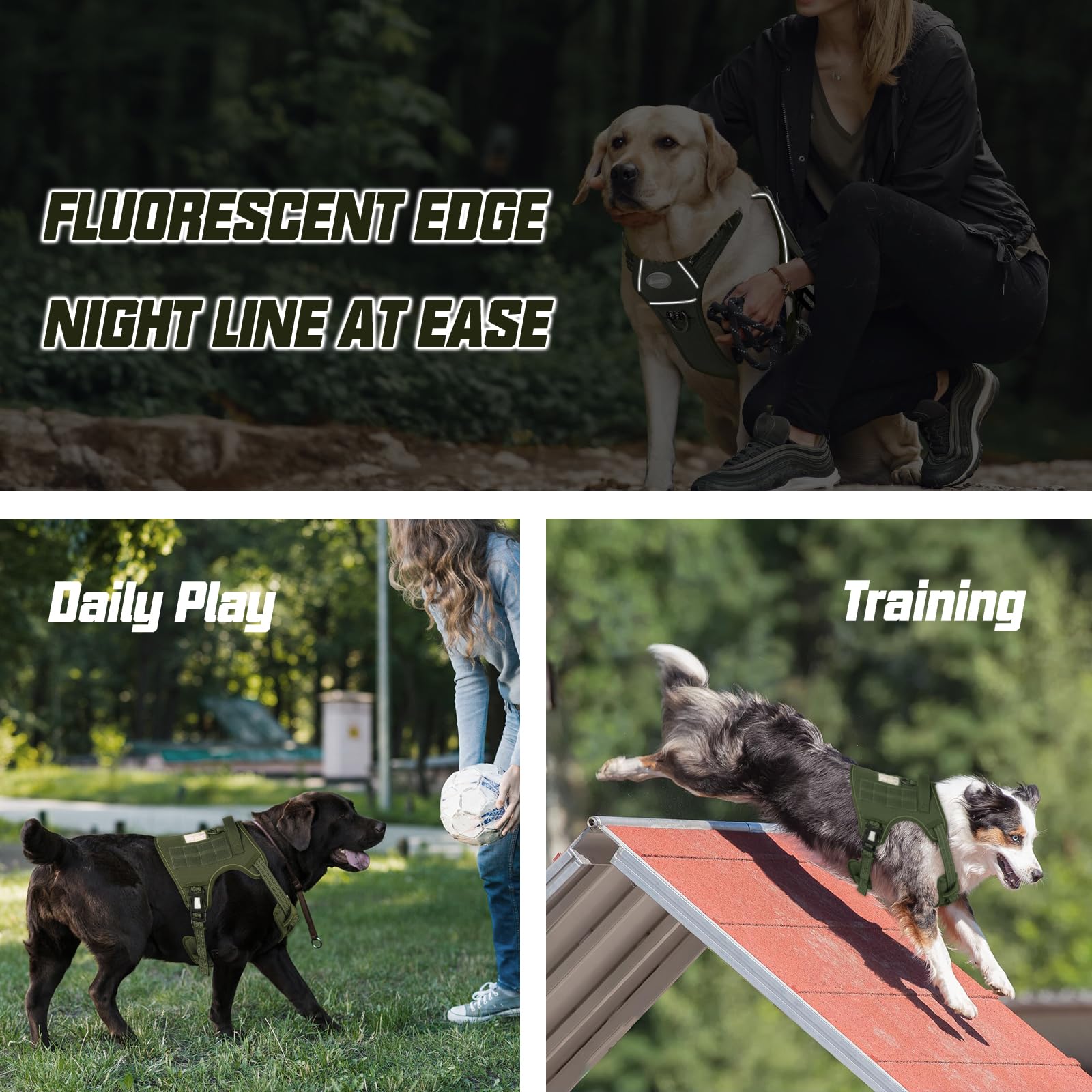 AUROTH Harness padded chest for comfort during activity