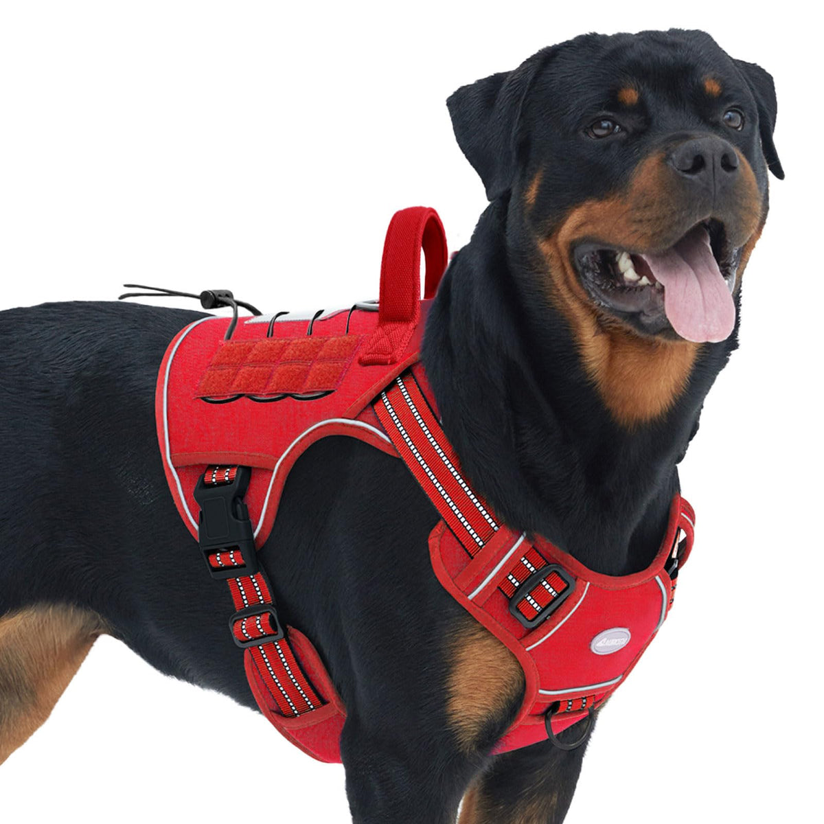 AUROTH tactical dog harness no-pull front clip for steady walks.