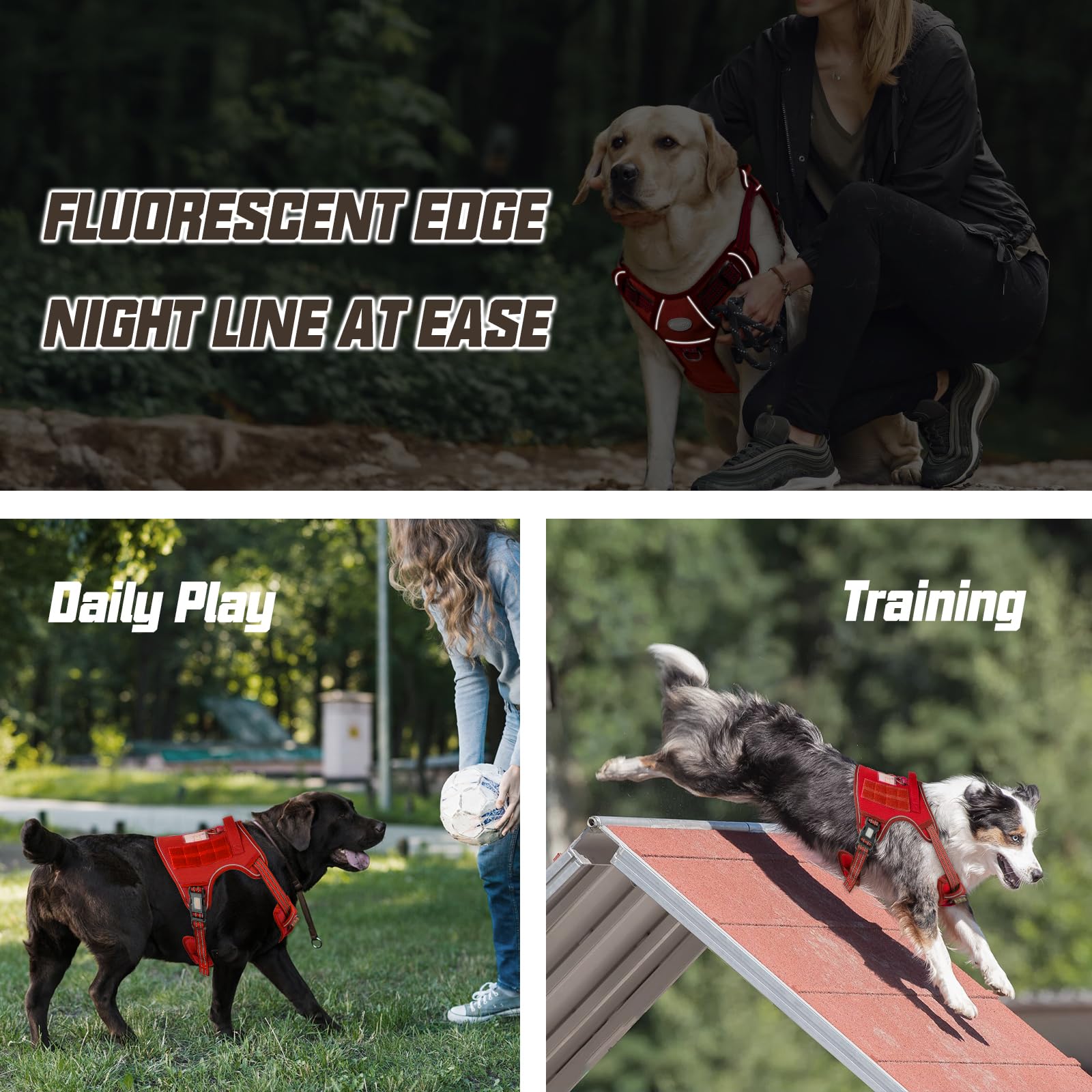AUROTH padded, breathable air mesh keeps dogs comfortable during activities.