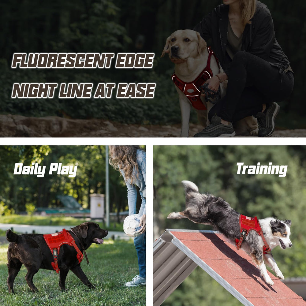 AUROTH padded, breathable air mesh keeps dogs comfortable during activities.