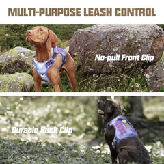 AUROTH Harness padded chest area improves comfort on long sessions