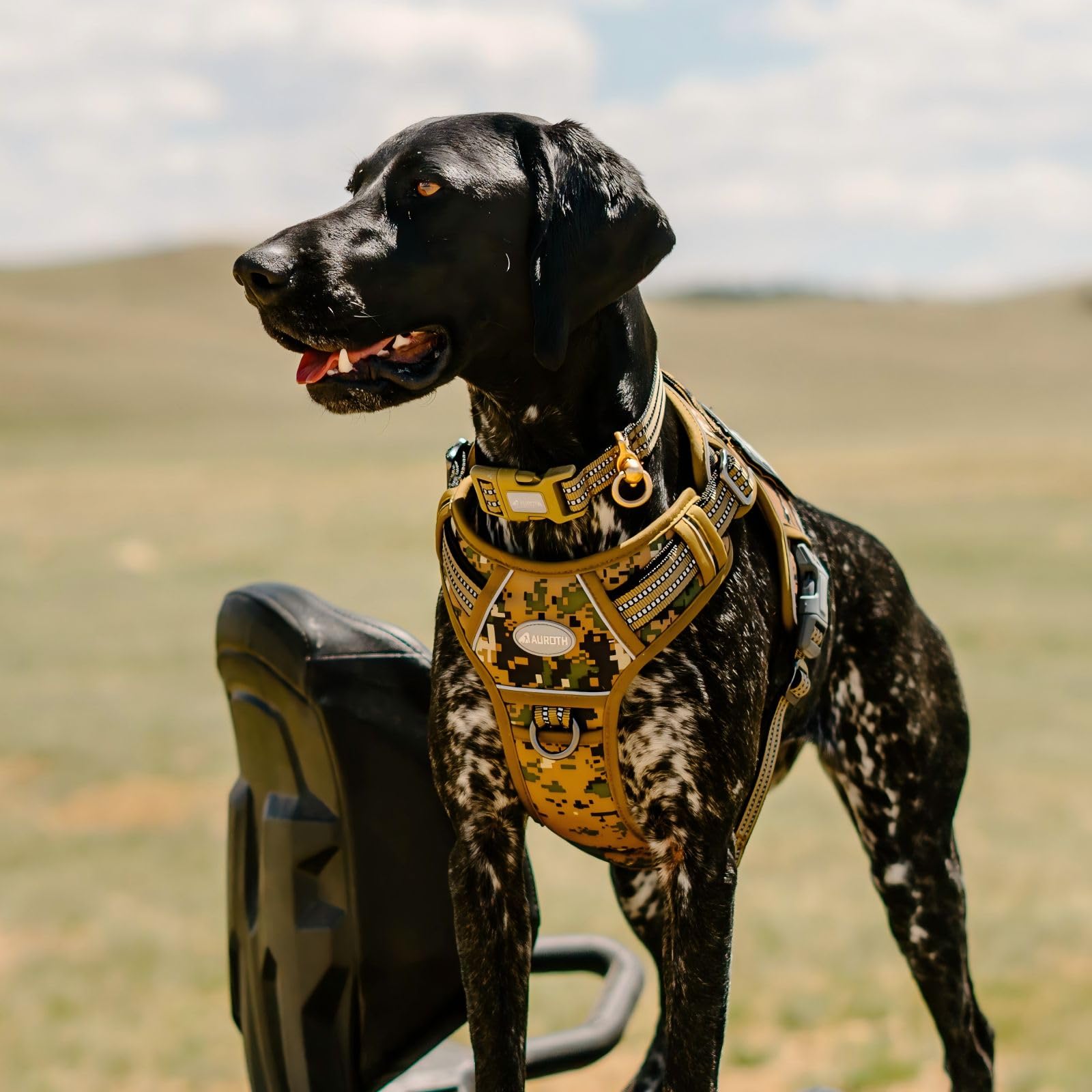 AUROTH harness padding protects pressure points on long outdoor adventures.