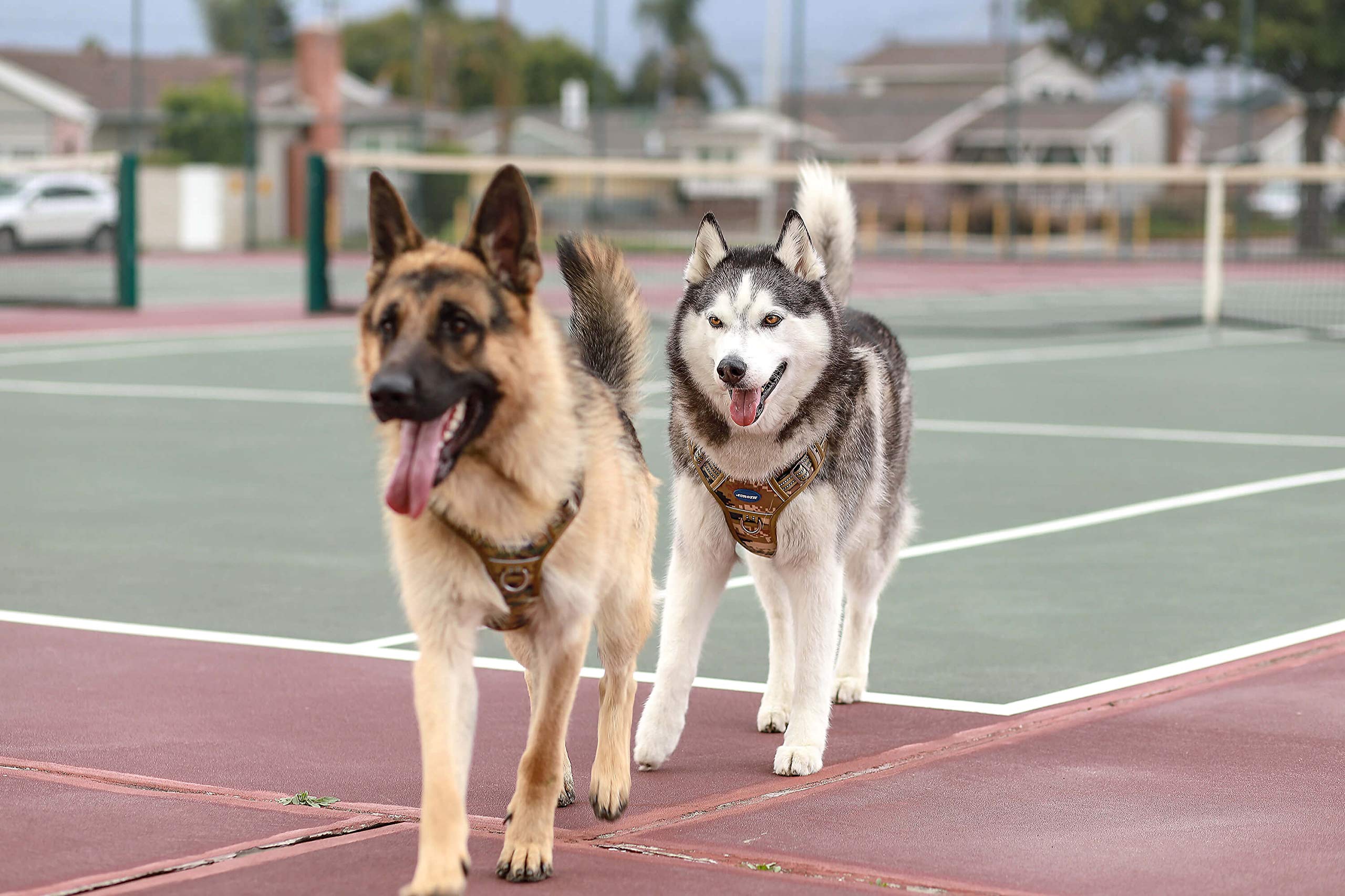 AUROTH reflective strips improve visibility in low light for evening walks.