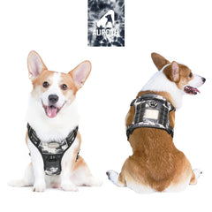 AUROTH Tactical Dog Harness side view highlights MOLLE-ready design for gear.