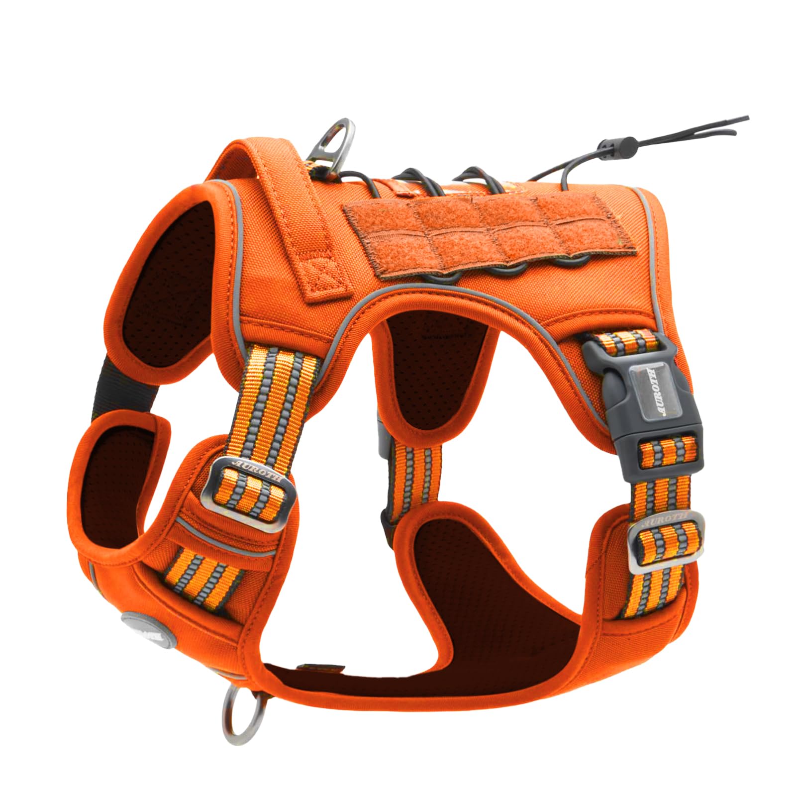 AUROTH Size chart guide ensures a snug, secure fit