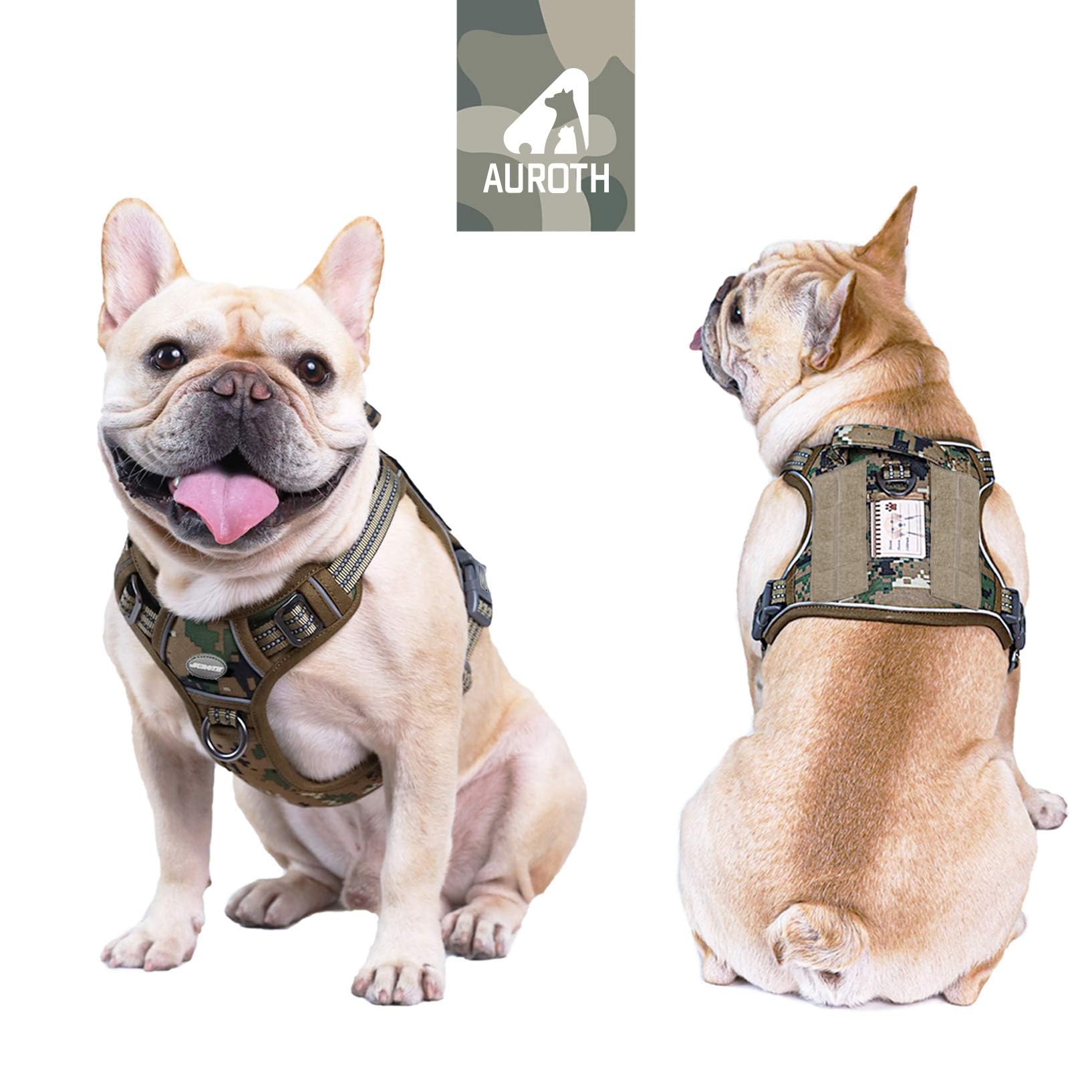 AUROTH woodland camouflage back-clip harness supports casual walks.