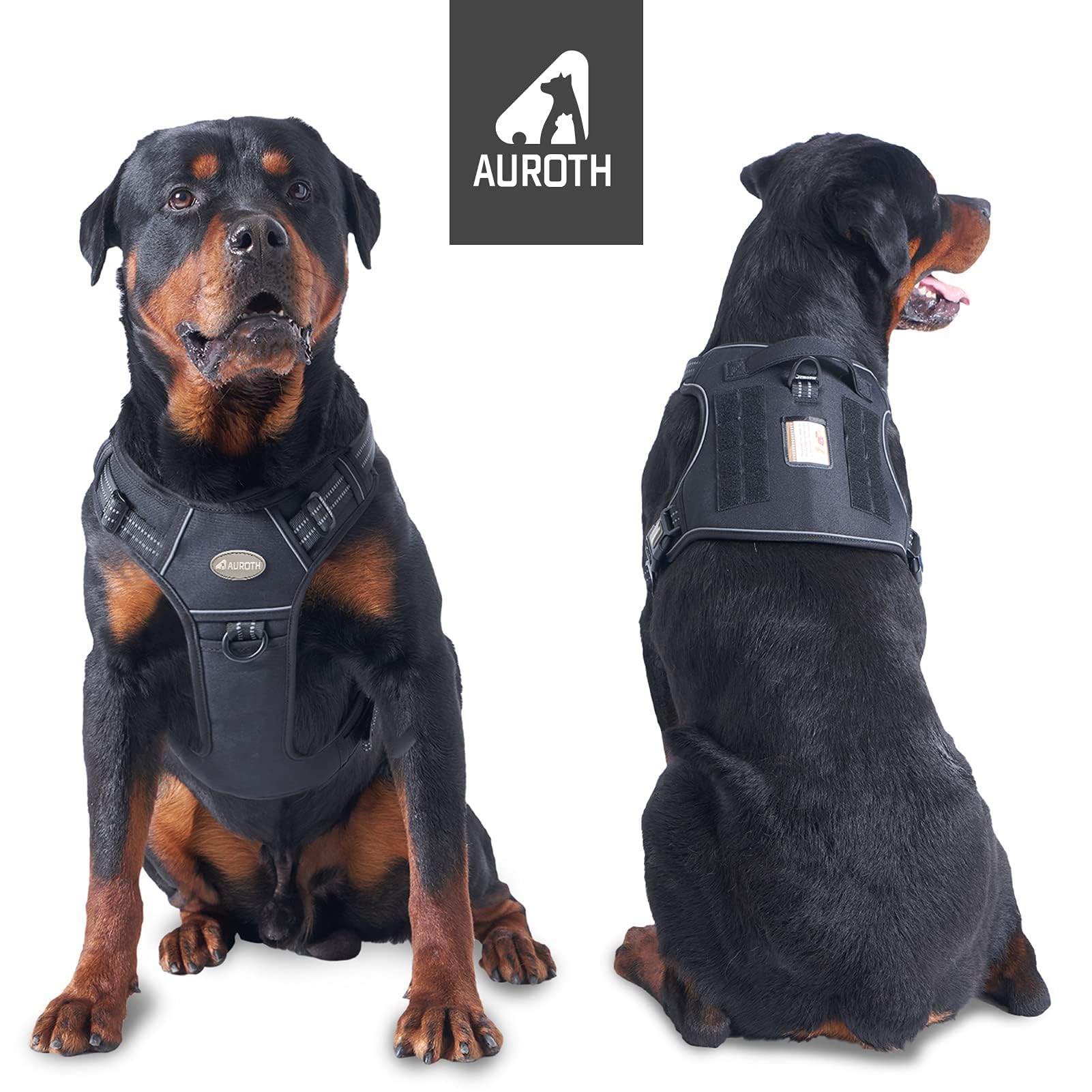 AUROTH back-clip supports relaxed walks and jogging sessions.