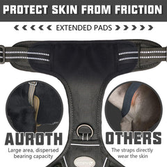 AUROTH Durable nylon harness with reinforced stitching for rugged outdoor use.