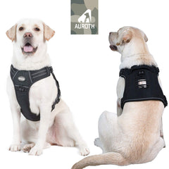 AUROTH harness with fully adjustable metal rings for a snug, personalized fit.