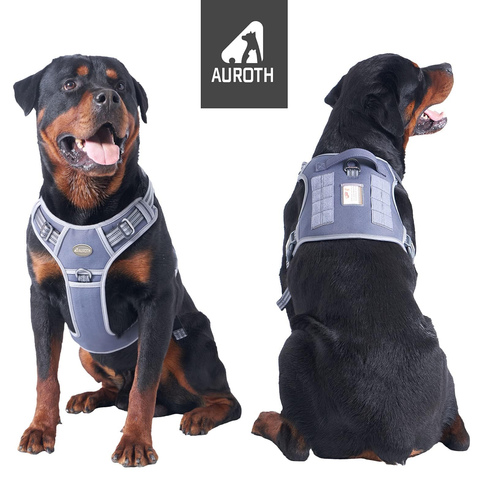 AUROTH Tactical Harness gray back view highlighting adjustable straps