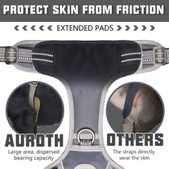 AUROTH Harness MOLLE system for carrying gear and patches