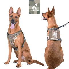 AUROTH no-pull front clip enhances training control during walks.