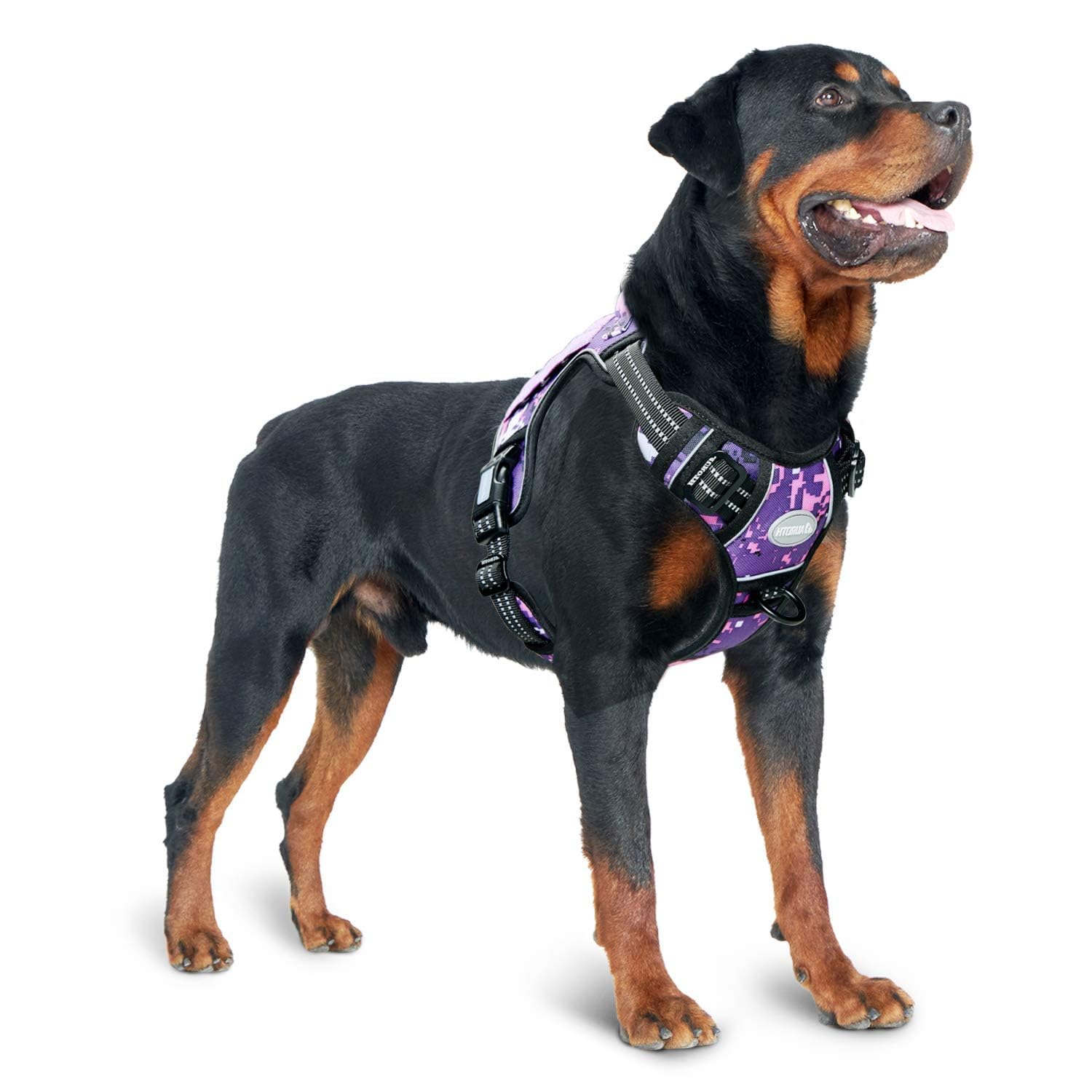 AUROTH XL purple-camo harness with adjustable fit