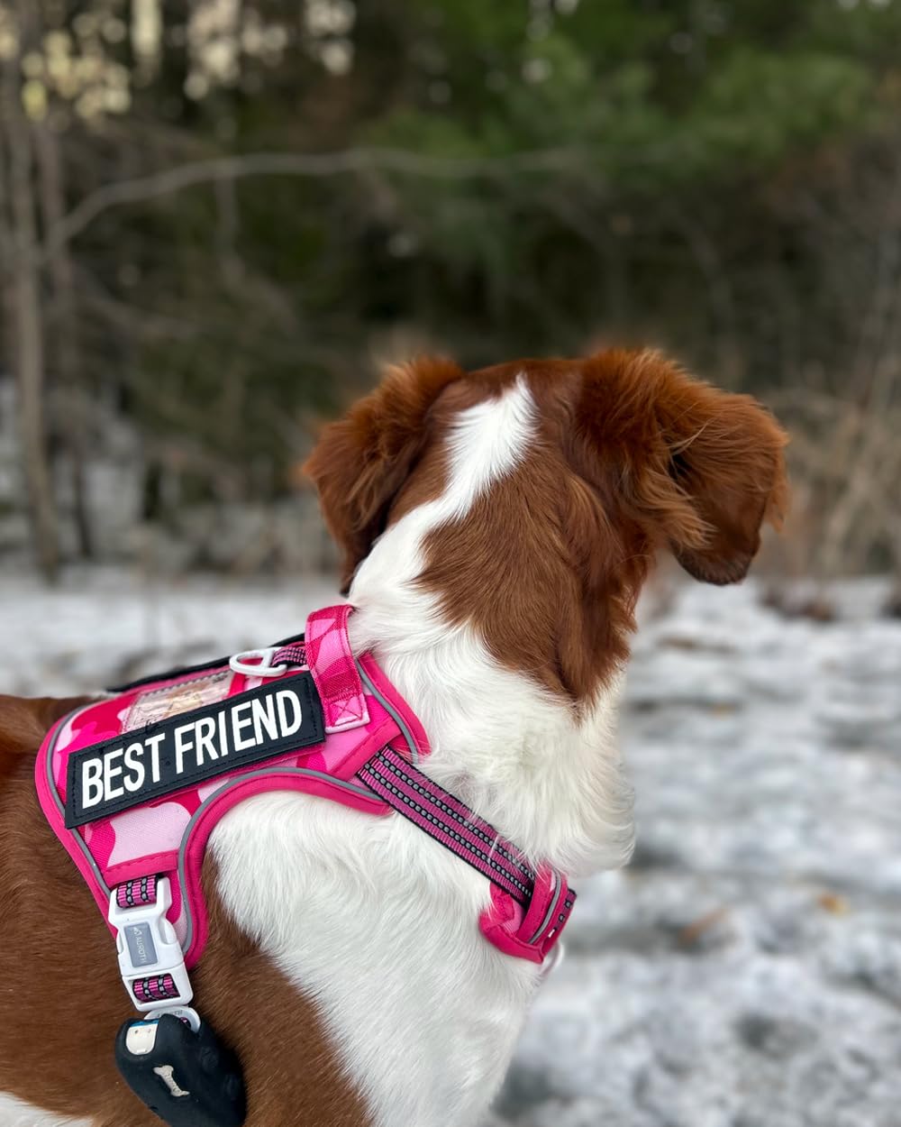 AUROTH Tactical Harness breathable air mesh keeps dogs cool