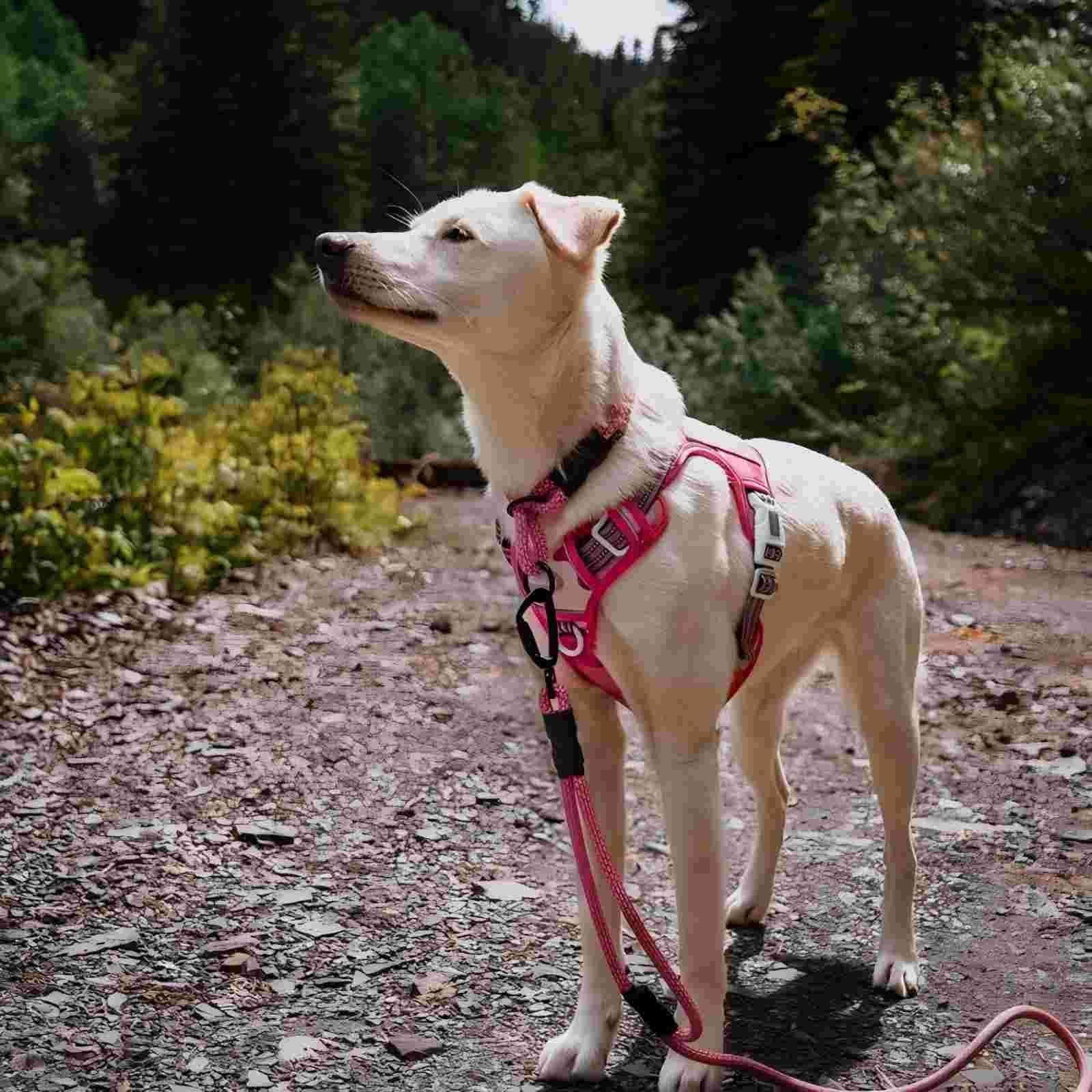 AUROTH Tactical Harness durable nylon with reinforced stitching for rugged use