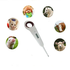 Aurynns Pet Digital Anus Thermometer beep signals when the reading is ready.