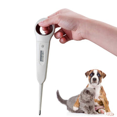 Aurynns Pet Digital Anus Thermometer display shows fast readings for quick checks.