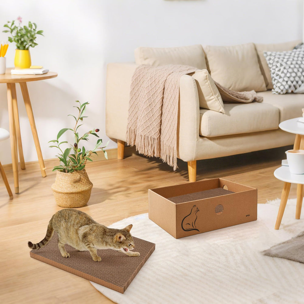 AUSCAT cat scratcher box doubles as a cozy lounge bed.