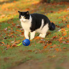 AUTRETY Speedy 2.0 obstacle-avoidance mode keeps the toy moving freely.