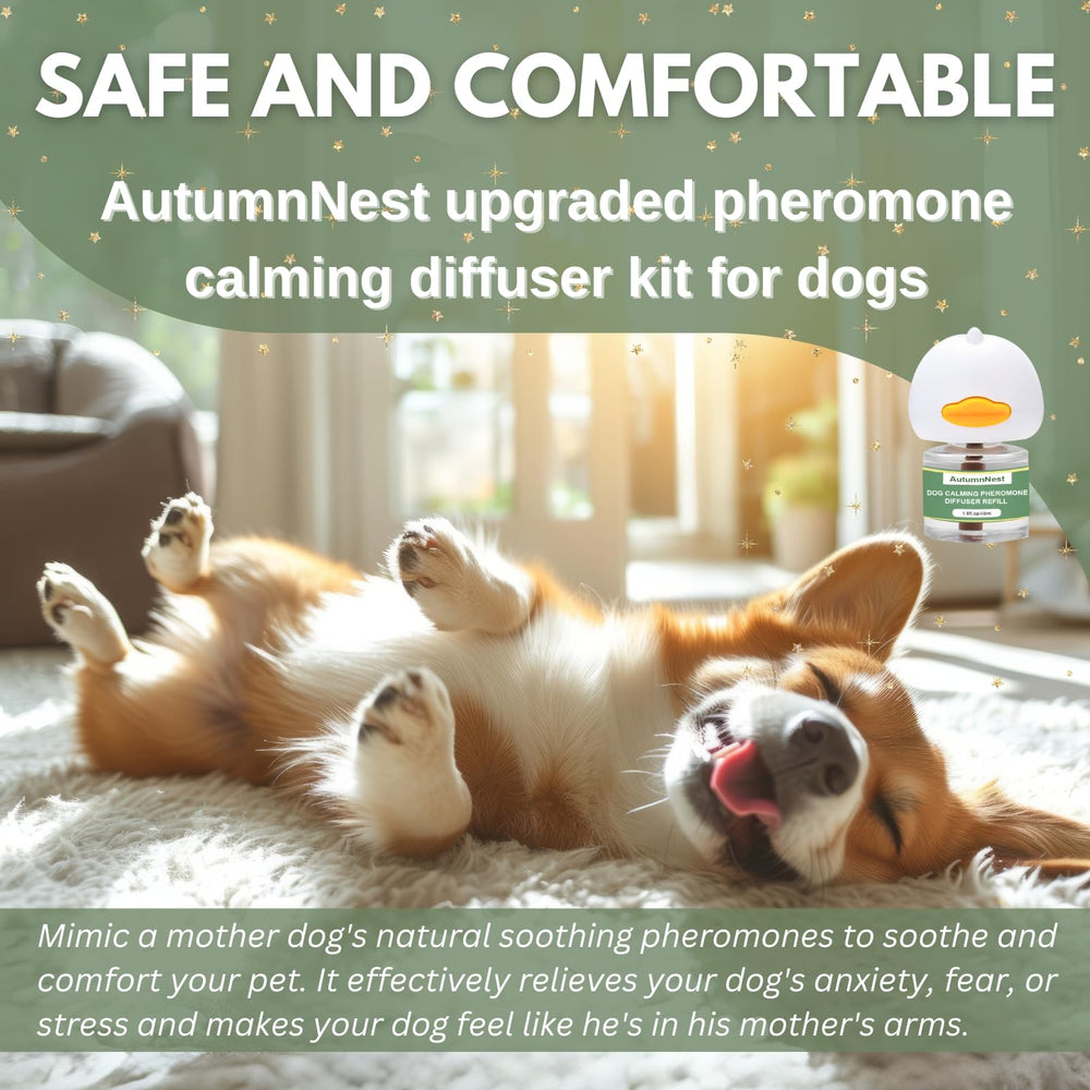 AutumnNest diffuser in a living space helps reduce barking and stress signals.