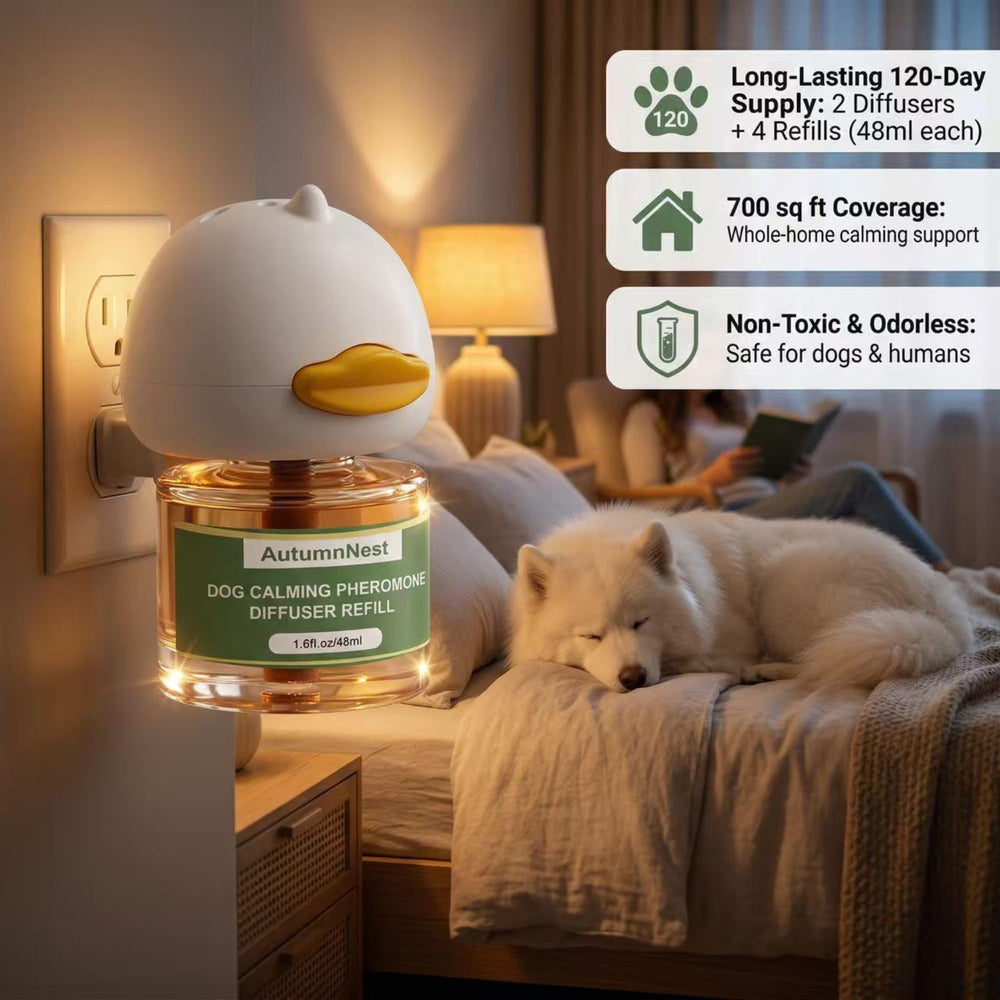 AutumnNest plug-in diffusers in wall socket for continuous calming diffusion