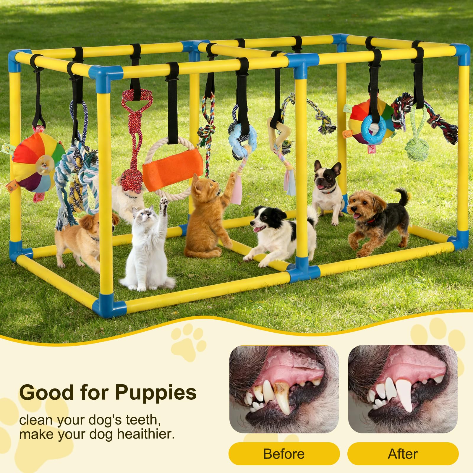 Autyomo Jungle Gym in use by a small puppy for focused play and training.