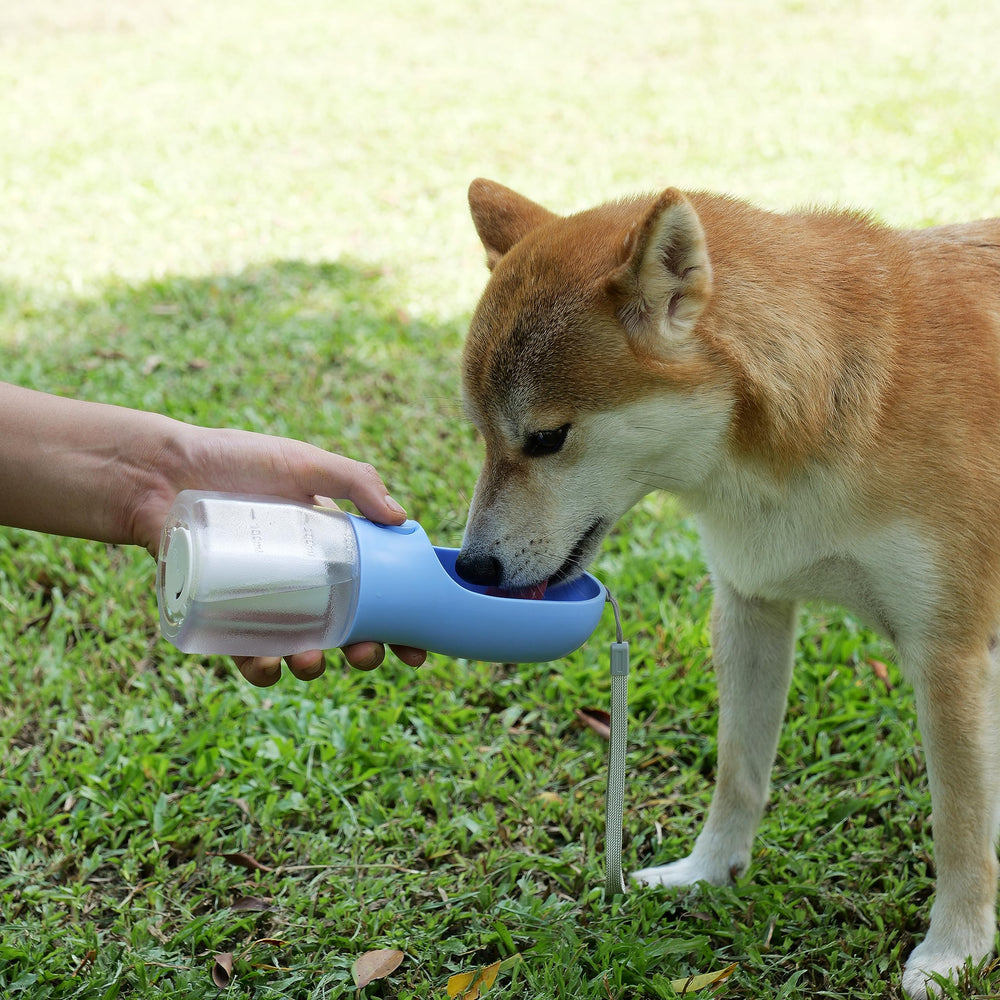 AVELORA easy-to-clean design simplifies travel hygiene with pets