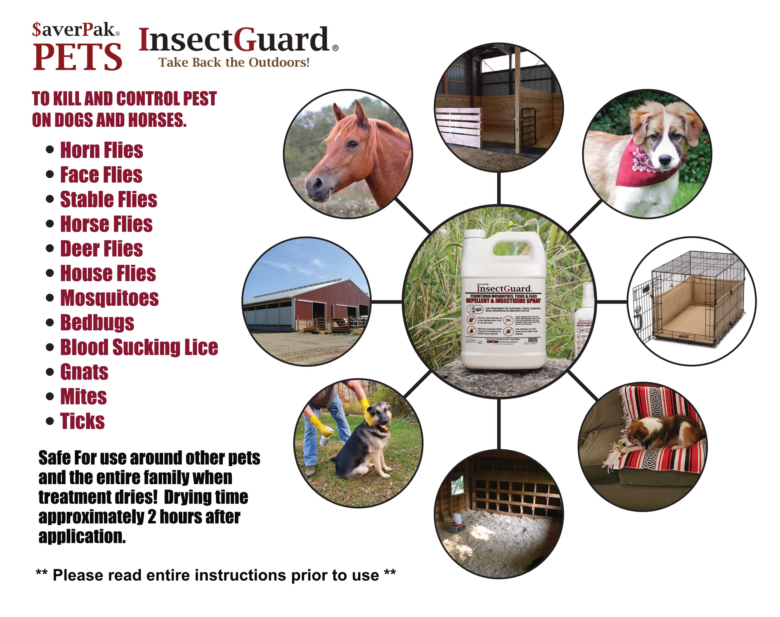 InsectGuard spray mist ready to tackle outdoor pests