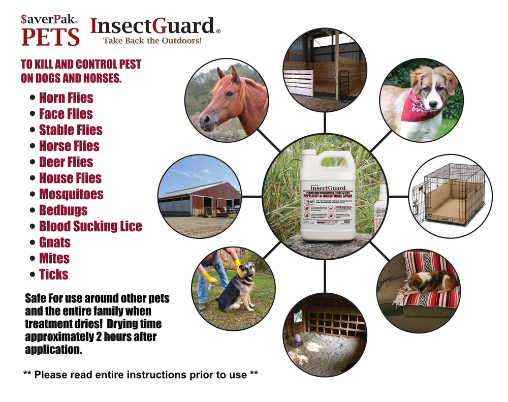 InsectGuard spray mist ready to tackle outdoor pests