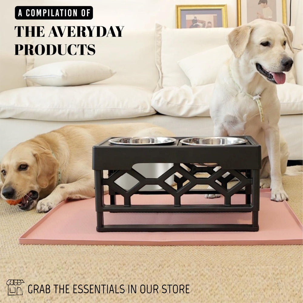 Averyday durable bowls suitable for small to medium dogs during family meals