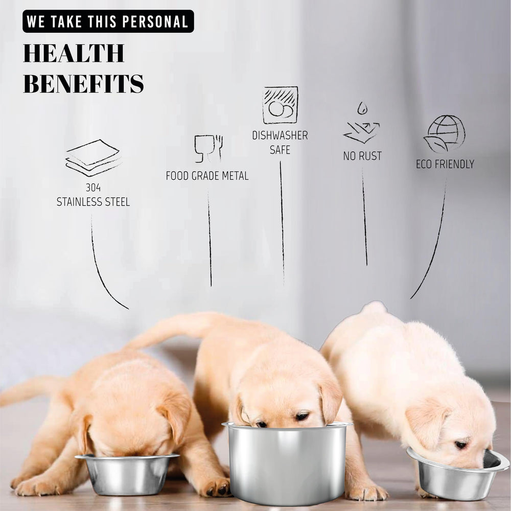 Averyday BPA-free heavy-duty stainless steel bowls resist daily wear