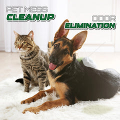 Aviano Botanicals cleaning pet mess on carpet for effective deodorization