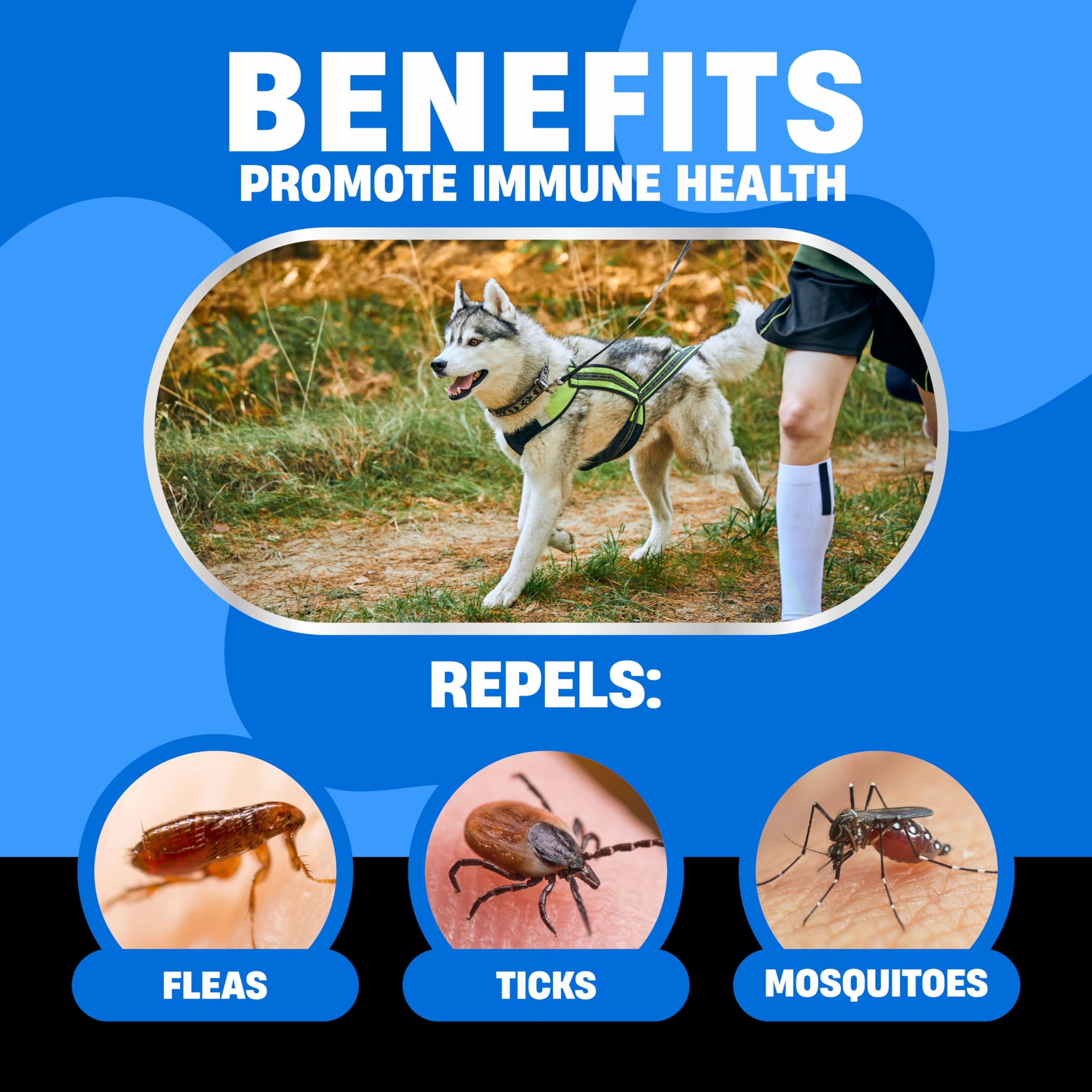 Avid Paws chicken-flavored chewable tablets guard dogs against fleas and ticks.