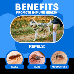 Avid Paws chicken-flavored chewable tablets guard dogs against fleas and ticks.