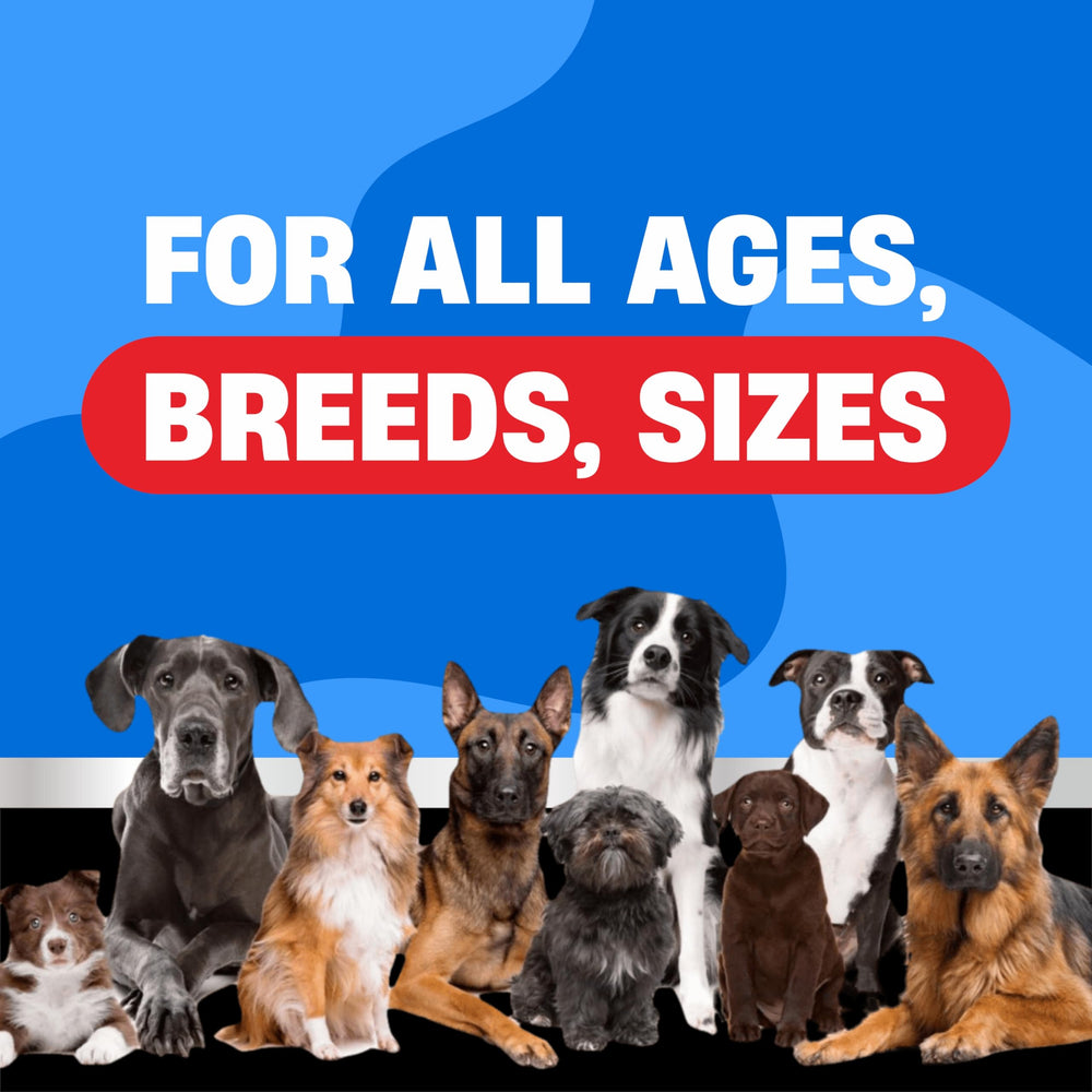 Avid Paws convenient chewables simplify dog flea and tick control.
