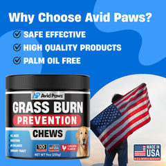 Avid Paws Cranberry-infused chews highlight urinary support for dogs